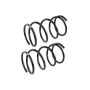 MEVOTECH SMS8736 Coil Spring Set
