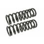 MEVOTECH SMS874 Coil Spring Set