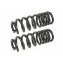 MEVOTECH SMS880SV Coil Spring Set