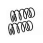 MEVOTECH SMS90007 Coil Spring Set