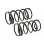 MEVOTECH SMS9636 Coil Spring Set