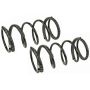 MEVOTECH SMS9638 Coil Spring Set