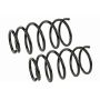 MEVOTECH SMS9640 Coil Spring Set