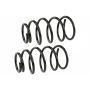 MEVOTECH SMS9642 Coil Spring Set