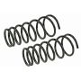MEVOTECH SMS9647 Coil Spring Set