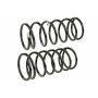 MEVOTECH SMS9722 Coil Spring Set