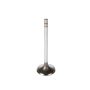 Melling V1484 Stock Replacement Intake Valve