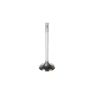 Melling V1536 Stock Replacement Intake Valve
