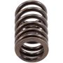 Melling VS-110 Stock Replacement Valve Spring