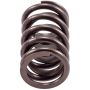 Melling VS-160 Stock Replacement Valve Spring
