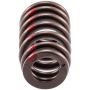 Melling VS-1623 Stock Replacement Valve Spring