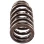 Melling VS-1700 Stock Replacement Valve Spring