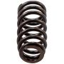 Melling VS-1701 Stock Replacement Valve Spring