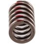 Melling VS-840 Stock Replacement Valve Spring
