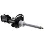 Motorcraft Shocks and Struts PZ1Z18124AH