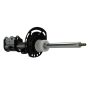 Motorcraft Shocks and Struts LX6Z18124FH