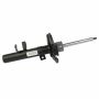 Motorcraft Shocks and Struts CV6Z18124AU