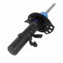 Motorcraft Shocks and Struts BV6Z18124CG