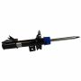 Motorcraft Shocks and Struts G2GZ18124V
