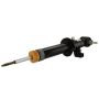 Motorcraft Shocks and Struts for 2021-2024 F-150 - ML3Z18124X
