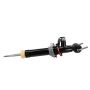Motorcraft Shocks and Struts JL1Z18124AA