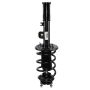 Motorcraft Shocks and Struts JU2Z18A092C