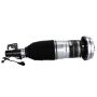 Motorcraft Shocks and Struts LC5Z3C098A