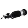 Motorcraft Shocks and Struts LC5Z3C098C