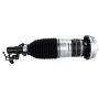 Motorcraft Shocks and Struts LC5Z3C098C