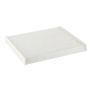 Motorcraft Cabin Air Filter Elements FP53B