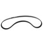 Motorcraft Accessory Belts for 2023-2024 CORSAIR, ESCAPE - PZ1Z8620B