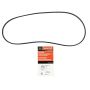 Motorcraft Accessory Belts for 2023-2024 CORSAIR, ESCAPE - PZ1Z8620C
