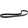 Motorcraft Accessory Belts PZ1Z8620E