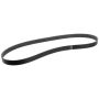 Motorcraft Accessory Belts KX7Z8620B