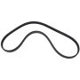 Motorcraft Accessory Belts JX6Z8620H