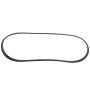 Motorcraft Accessory Belts PC3Z8620E