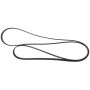 Motorcraft Accessory Belts PC4Z8620A