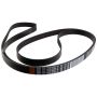 Motorcraft Accessory Belts PC4Z8620D