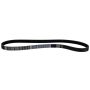 Motorcraft Accessory Belts for 2024 MUSTANG - PR3Z8620B
