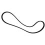 Motorcraft Accessory Belts for 2024 MUSTANG - PR3Z8620B