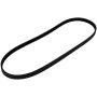 Motorcraft Accessory Belts for 2024 MUSTANG - PR3Z8620A