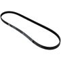 Motorcraft Accessory Belts for 2024 MUSTANG - PR3Z8620A