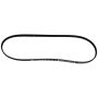 Motorcraft Accessory Belts for 2024 MUSTANG - PR3Z8620A