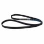 Motorcraft Accessory Belts CV6Z8620C