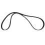 Motorcraft Accessory Belts PC3Z8620D