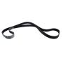 Motorcraft Accessory Belts for 2022-2023 EXPLORER, POLICE INTERCEPTOR UTILITY - L1MZ8620H