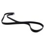 Motorcraft Accessory Belts for 2022-2023 EXPLORER, POLICE INTERCEPTOR UTILITY - L1MZ8620H