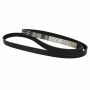 Motorcraft Accessory Belts 98SZ8620EC