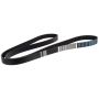 Motorcraft Accessory Belts for 2024 MUSTANG - PR3Z8620C