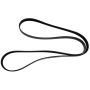 Motorcraft Accessory Belts for 2024 MUSTANG - PR3Z8620C